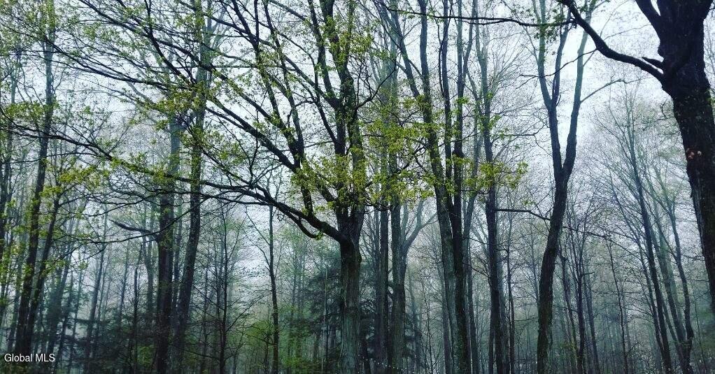 2071 Hwy Rte 20 Cobleskill, NY 12043 - Photo 36 of 57 image000002 (5)