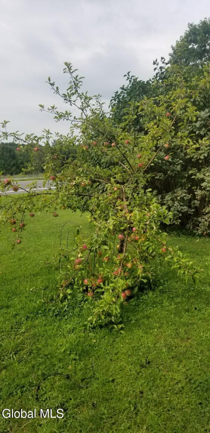 2071 Hwy Rte 20 Cobleskill, NY 12043 - Photo 41 of 57 image000001 (4)