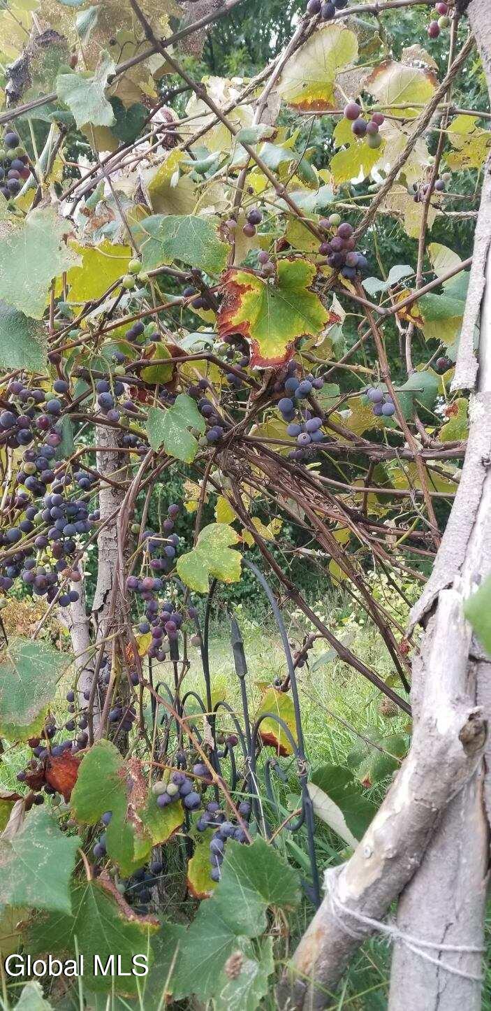 2071 Hwy Rte 20 Cobleskill, NY 12043 - Photo 45 of 57 image000003 (3)