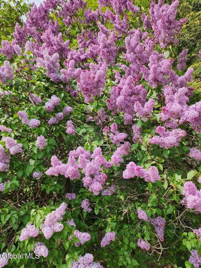 2071 Hwy Rte 20 Cobleskill, NY 12043 - Photo 48 of 57 image000000 (11)