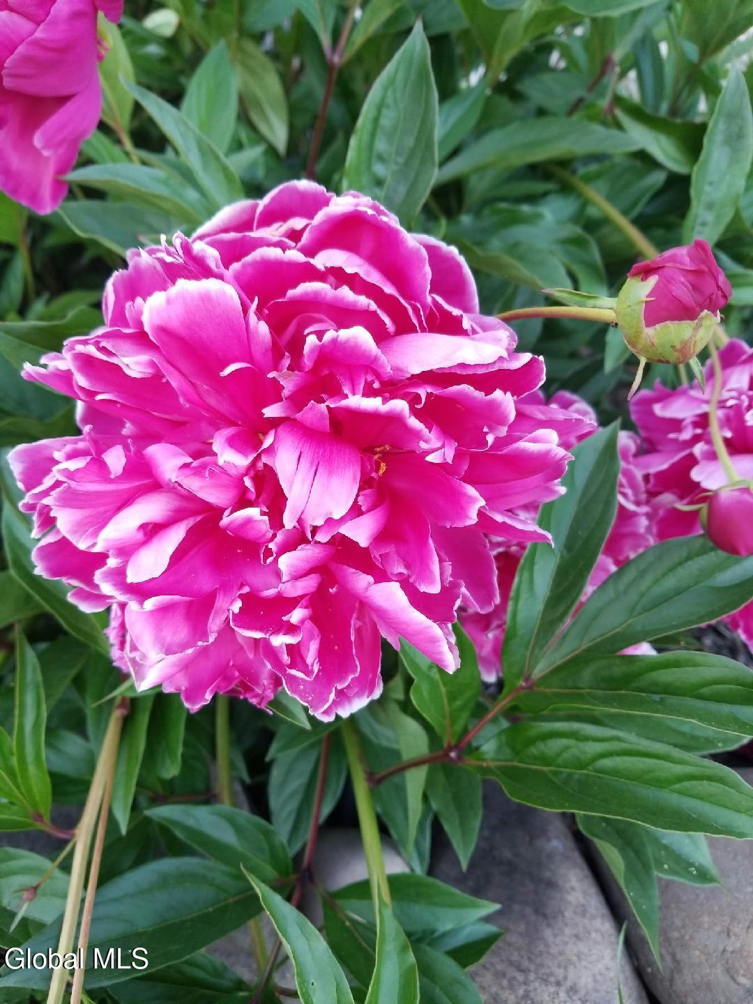 2071 Hwy Rte 20 Cobleskill, NY 12043 - Photo 49 of 57 image000001 (2)