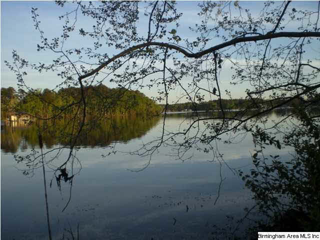 125 Farmstead Road, Unit 20A Wilsonville, AL 35186 - Photo 3 of 4