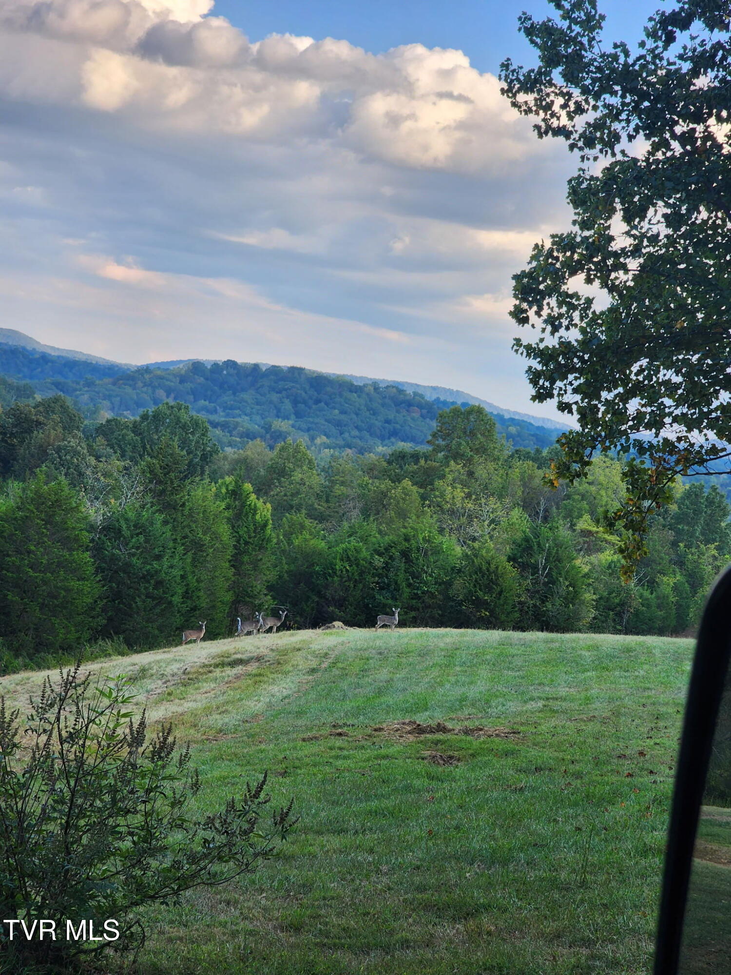 120 Richards Road, Unit 31 Rogersville, TN 37857 - Photo 19 of 24 1000010455