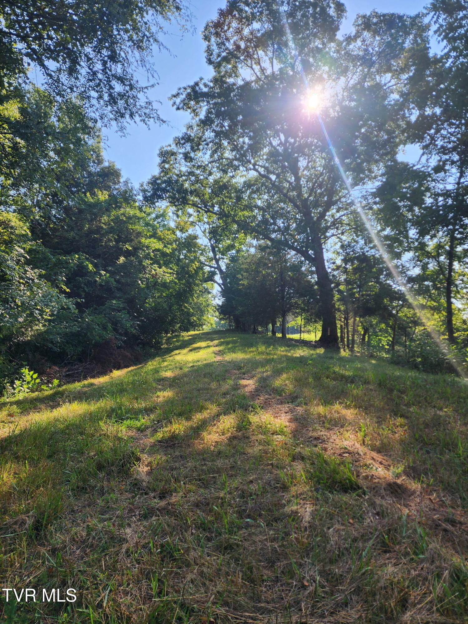 120 Richards Road, Unit 31 Rogersville, TN 37857 - Photo 24 of 24 1000010454