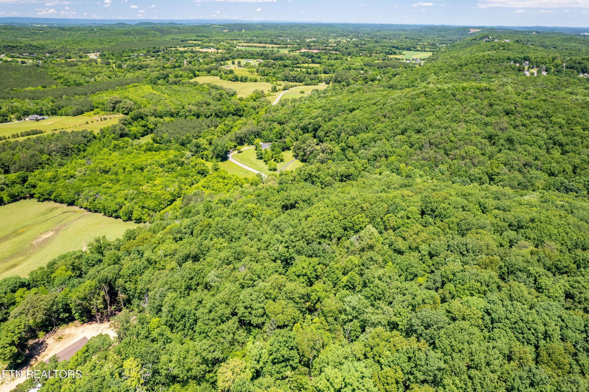 0 Candies Creek Ridge Road Cleveland, TN 37312 - Photo 18 of 29 a view of a big yard with plants and large trees