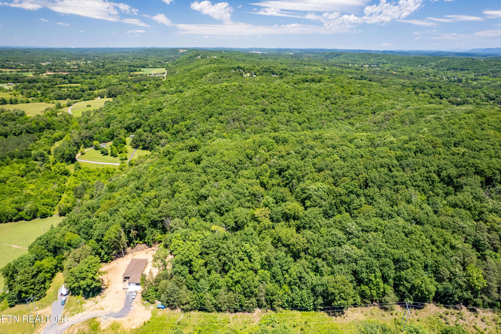 0 Candies Creek Ridge Road Cleveland, TN 37312 - Photo 20 of 29 a view of a big yard with plants and large trees