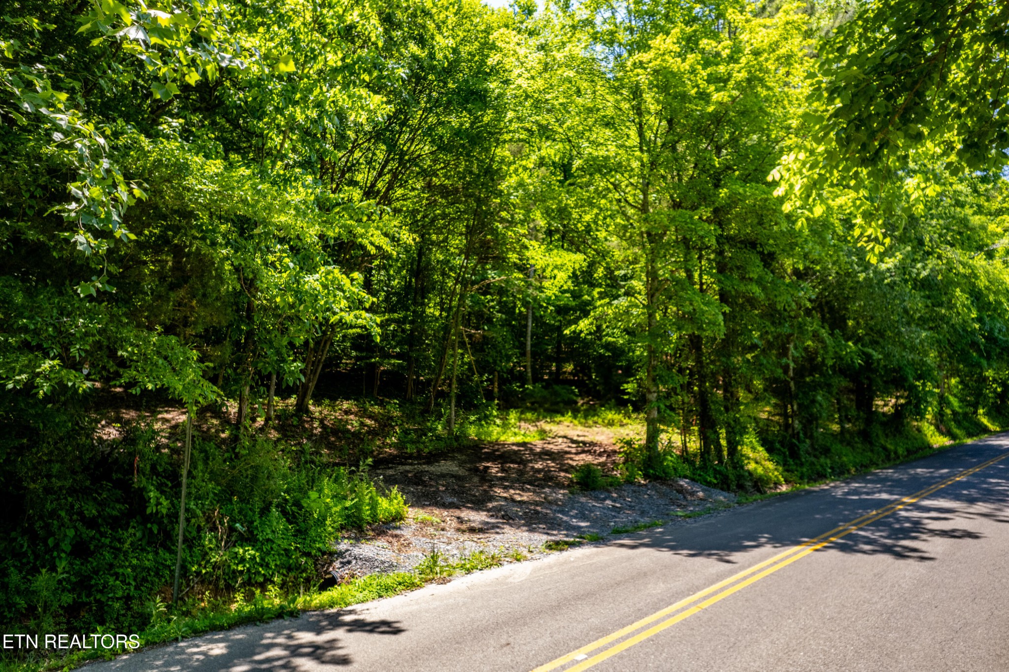 0 Candies Creek Ridge Road Cleveland, TN 37312 - Photo 4 of 29 a view of a street with a tree