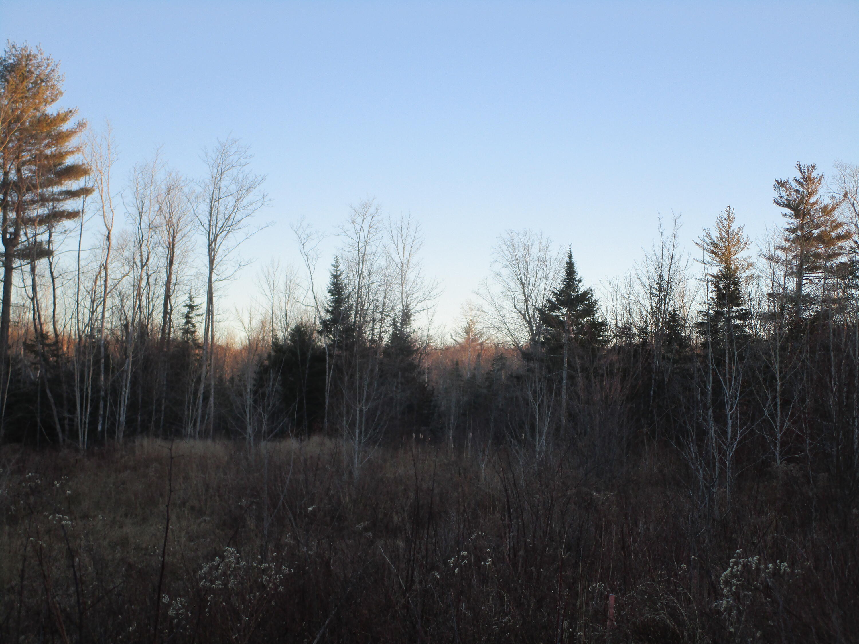 60 Clements Road Winterport, ME 04496 - Photo 3 of 7 IMG_3338