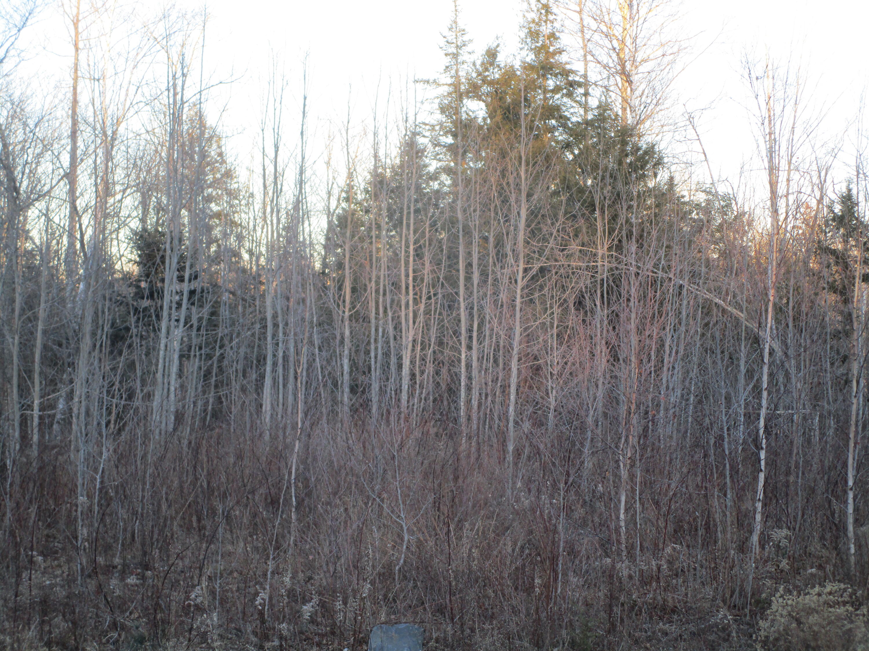 60 Clements Road Winterport, ME 04496 - Photo 4 of 7 IMG_3340