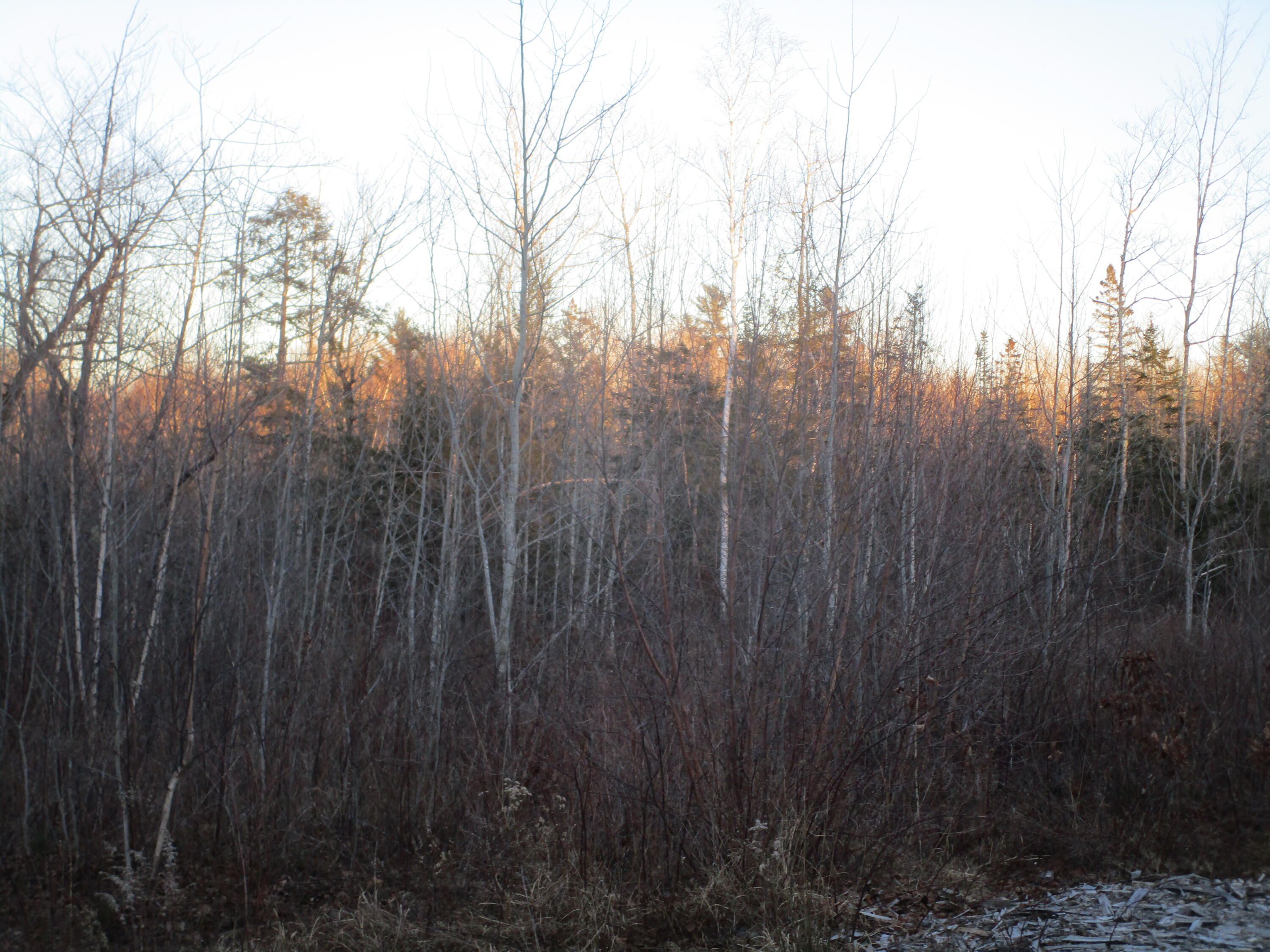 60 Clements Road Winterport, ME 04496 - Photo 5 of 7 IMG_3341