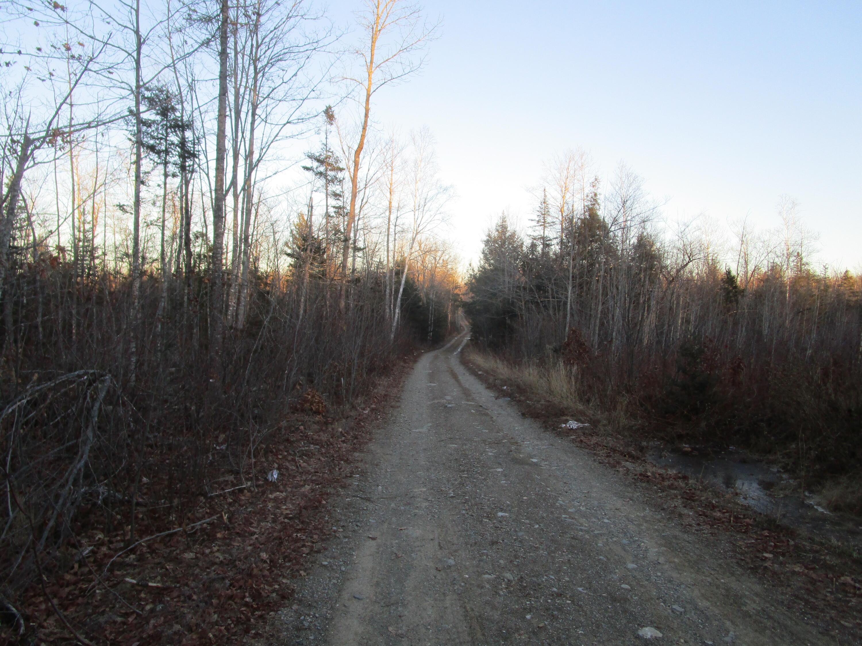 60 Clements Road Winterport, ME 04496 - Photo 7 of 7 IMG_3337