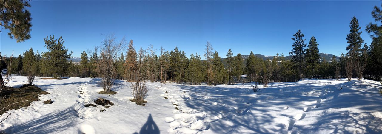 0 North Chase Road Liberty Lake, WA 99019 - Photo 1 of 20