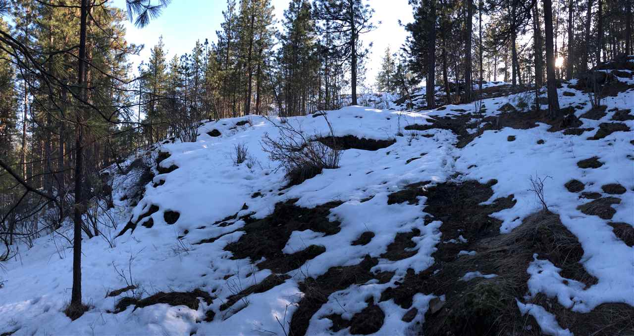 0 North Chase Road Liberty Lake, WA 99019 - Photo 18 of 20