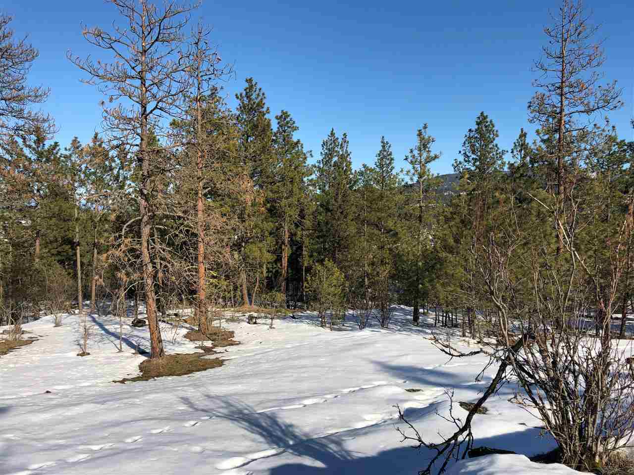 0 North Chase Road Liberty Lake, WA 99019 - Photo 5 of 20