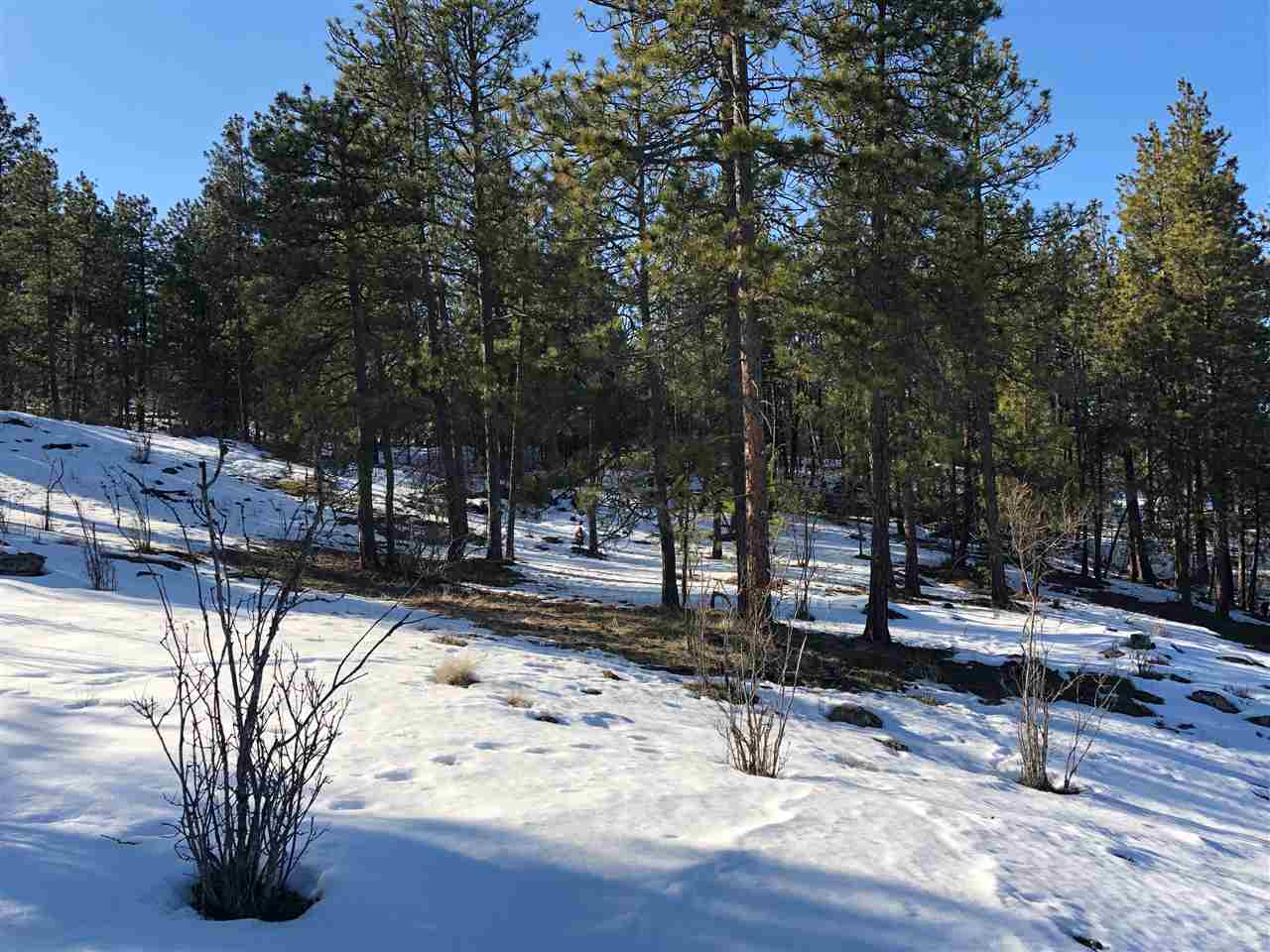 0 North Chase Road Liberty Lake, WA 99019 - Photo 10 of 20