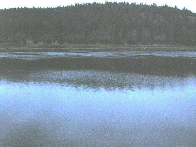 403500 State Rte 20 Cusick, WA 99119 - Photo 1 of 1 Gallery Image 1