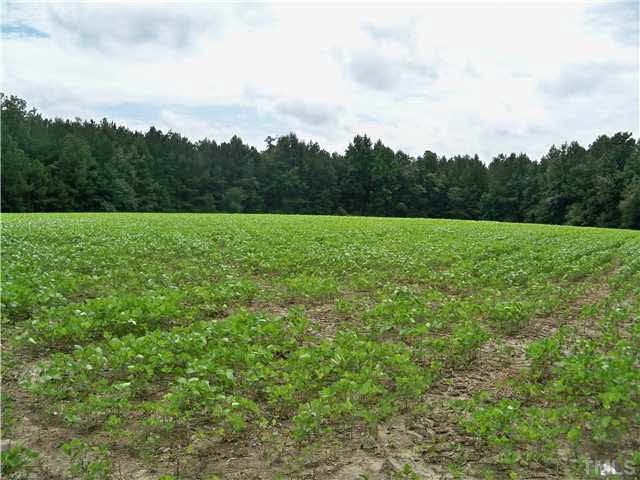 Stallings Road Zebulon, NC 27597 - Photo 2 of 8 Photo 2