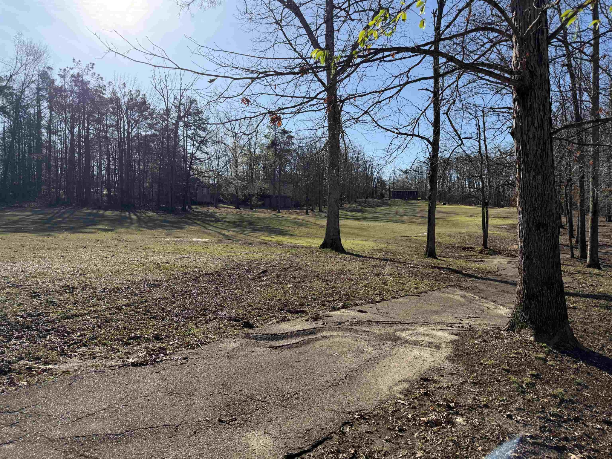 140 Bogey Loop Counce, TN 38326 - Photo 24 of 25