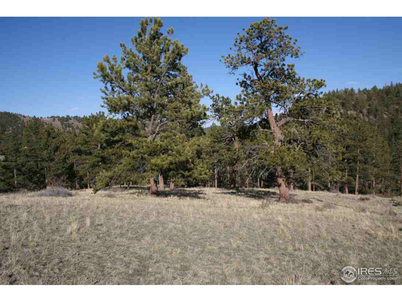 770 Beartrap Road Red Feather Lakes, CO 80545 - Photo 2 of 7 Gallery Image 2