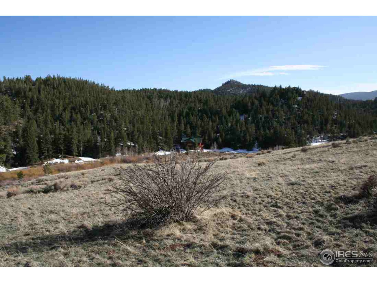 770 Beartrap Road Red Feather Lakes, CO 80545 - Photo 4 of 7 Gallery Image 4