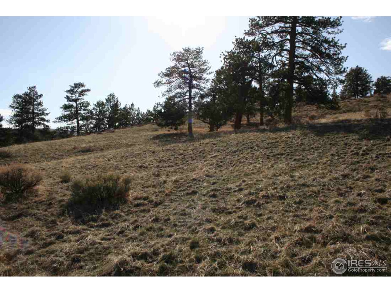 770 Beartrap Road Red Feather Lakes, CO 80545 - Photo 6 of 7 Gallery Image 6