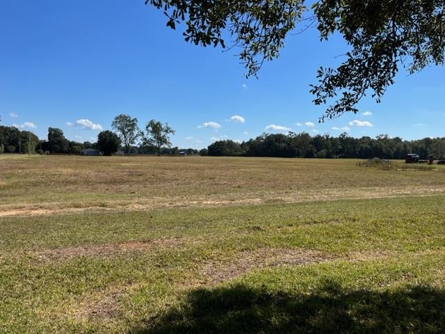 Bull Springs Road Robertsdale, AL 36567 - Photo 15 of 28