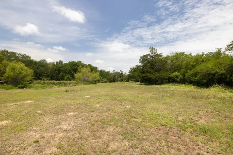 a view of a yard with a tree