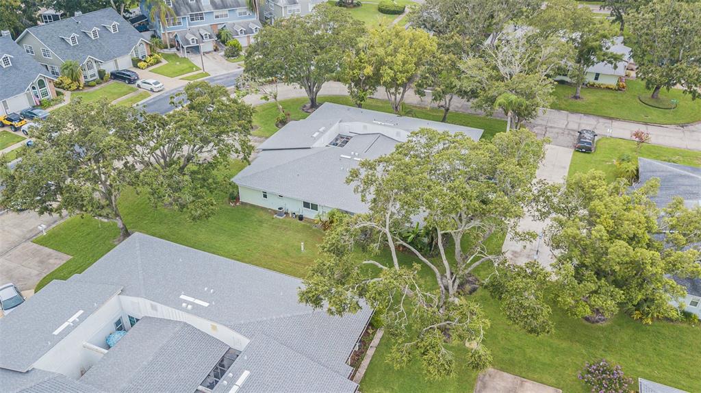 1130 Orange Tree Circle West, Unit C Palm Harbor, FL 34684 - Photo 26 of 32