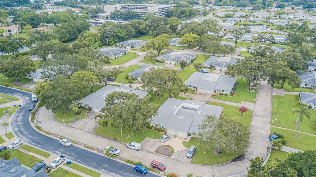 1130 Orange Tree Circle West, Unit C Palm Harbor, FL 34684 - Photo 29 of 32