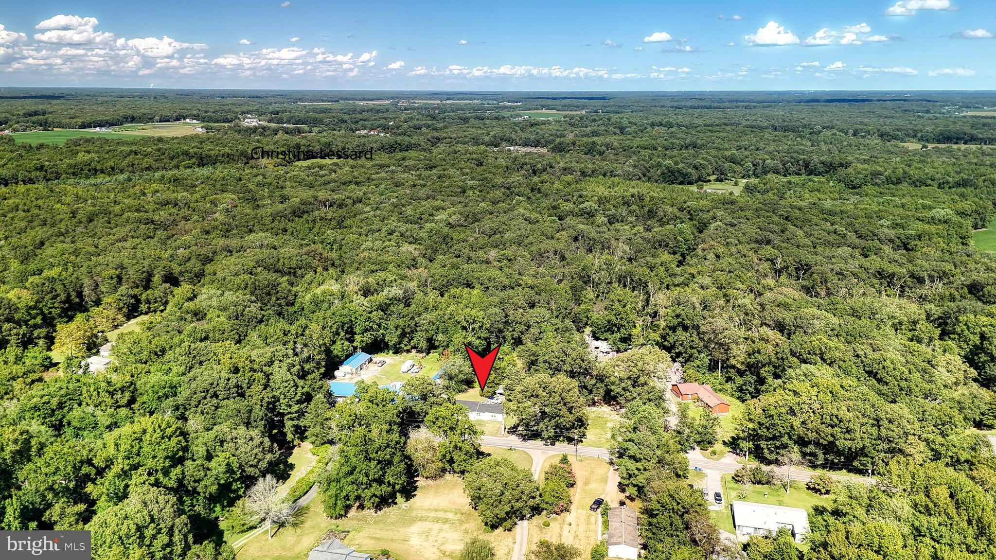 4640 Mahan Corner Road Marydel, DE 19964 - Photo 27 of 29 a view of a big yard with lots of bushes