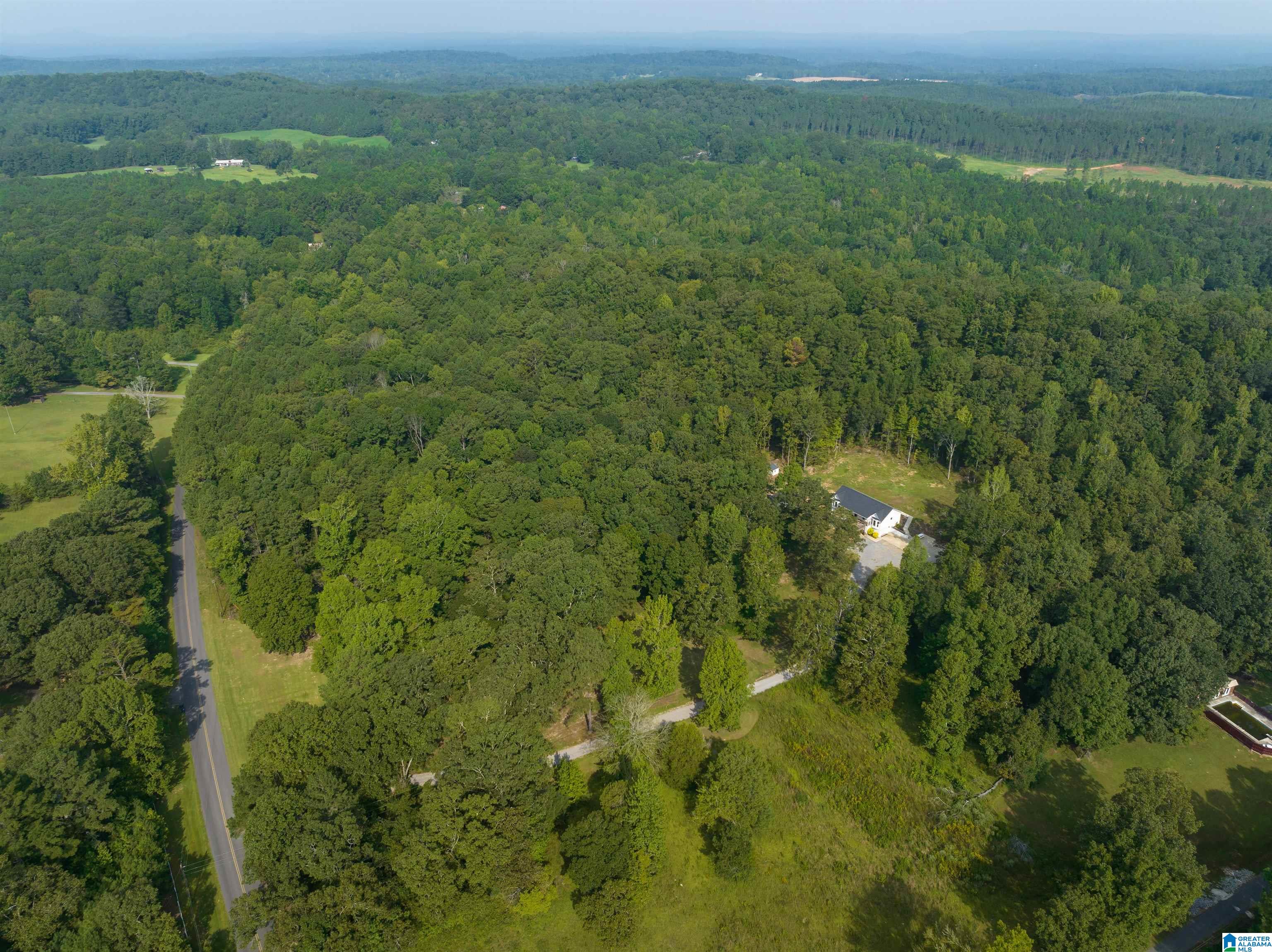 525 Deer Trace Road Pell City, AL 35125 - Photo 43 of 44