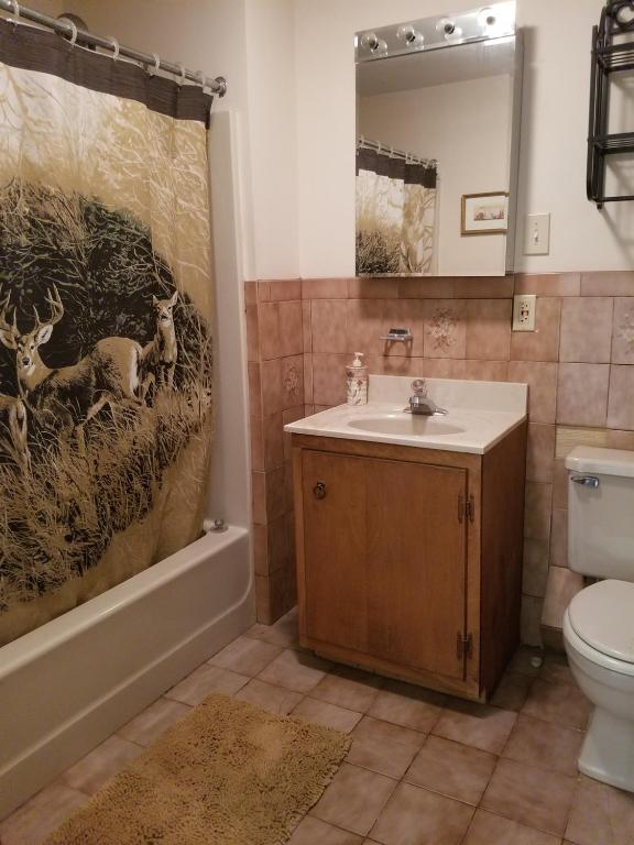 610 East Afton Road Bainbridge, NY 13733 - Photo 19 of 57