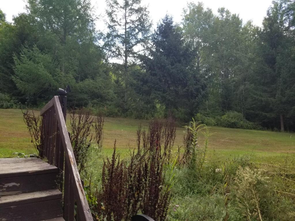 610 East Afton Road Bainbridge, NY 13733 - Photo 31 of 57