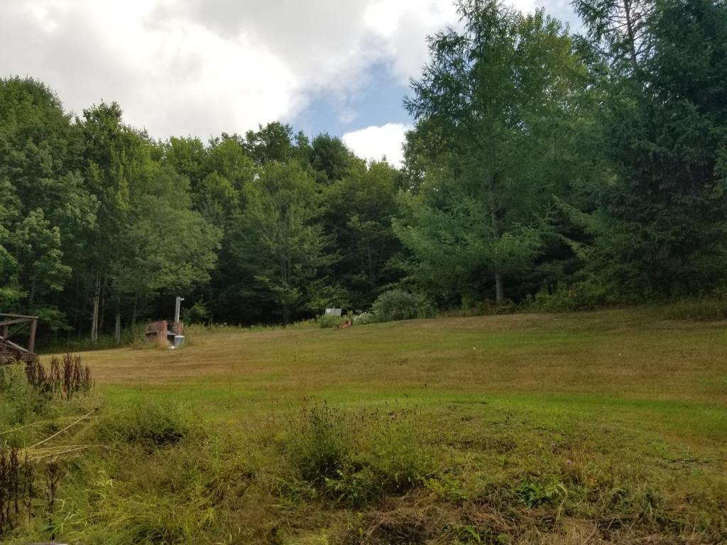 610 East Afton Road Bainbridge, NY 13733 - Photo 33 of 57