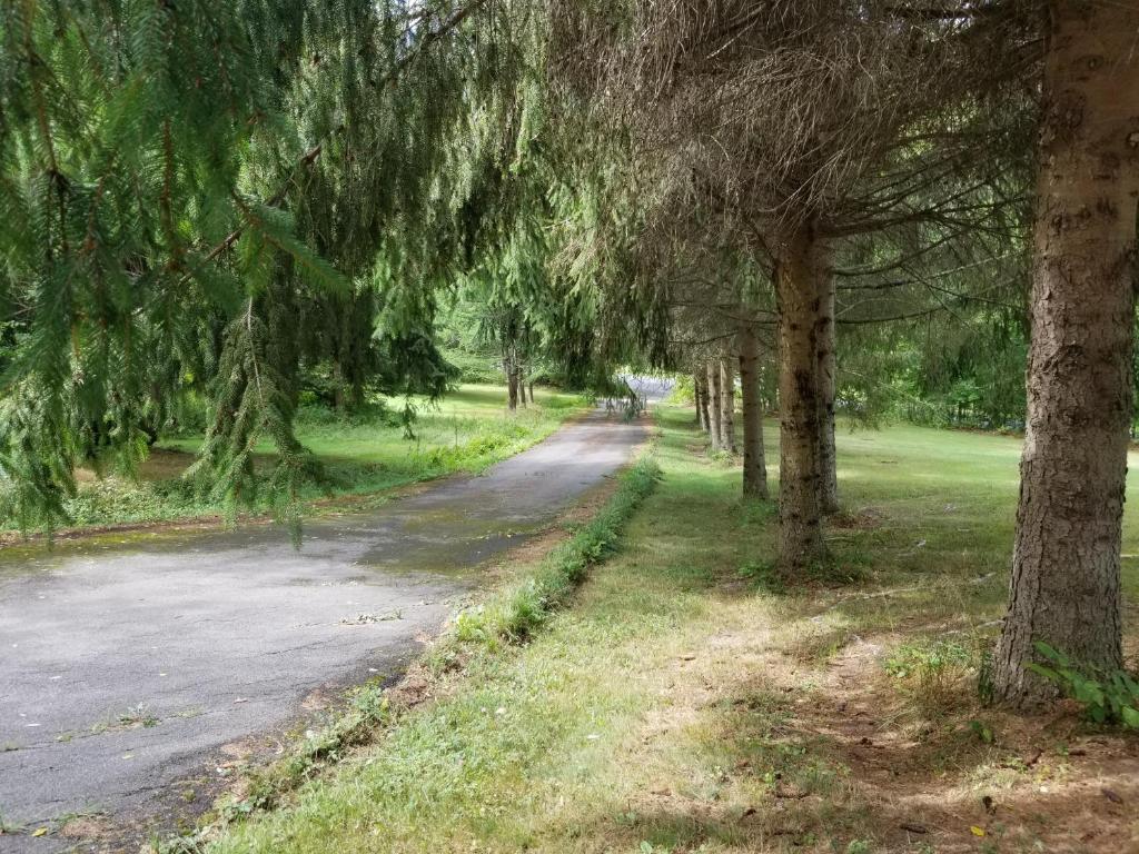 610 East Afton Road Bainbridge, NY 13733 - Photo 34 of 57