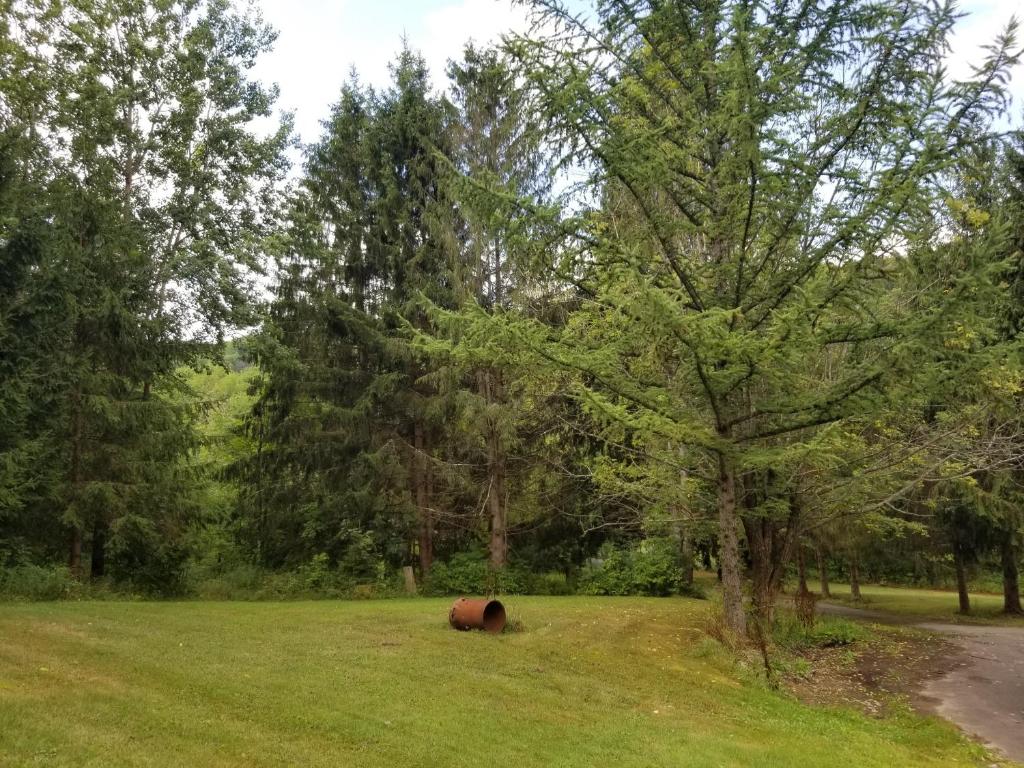 610 East Afton Road Bainbridge, NY 13733 - Photo 36 of 57