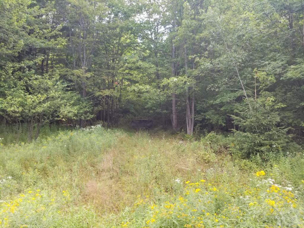 610 East Afton Road Bainbridge, NY 13733 - Photo 39 of 57