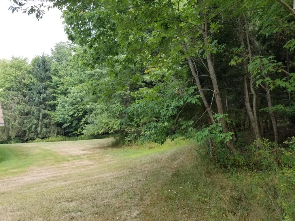 610 East Afton Road Bainbridge, NY 13733 - Photo 41 of 57