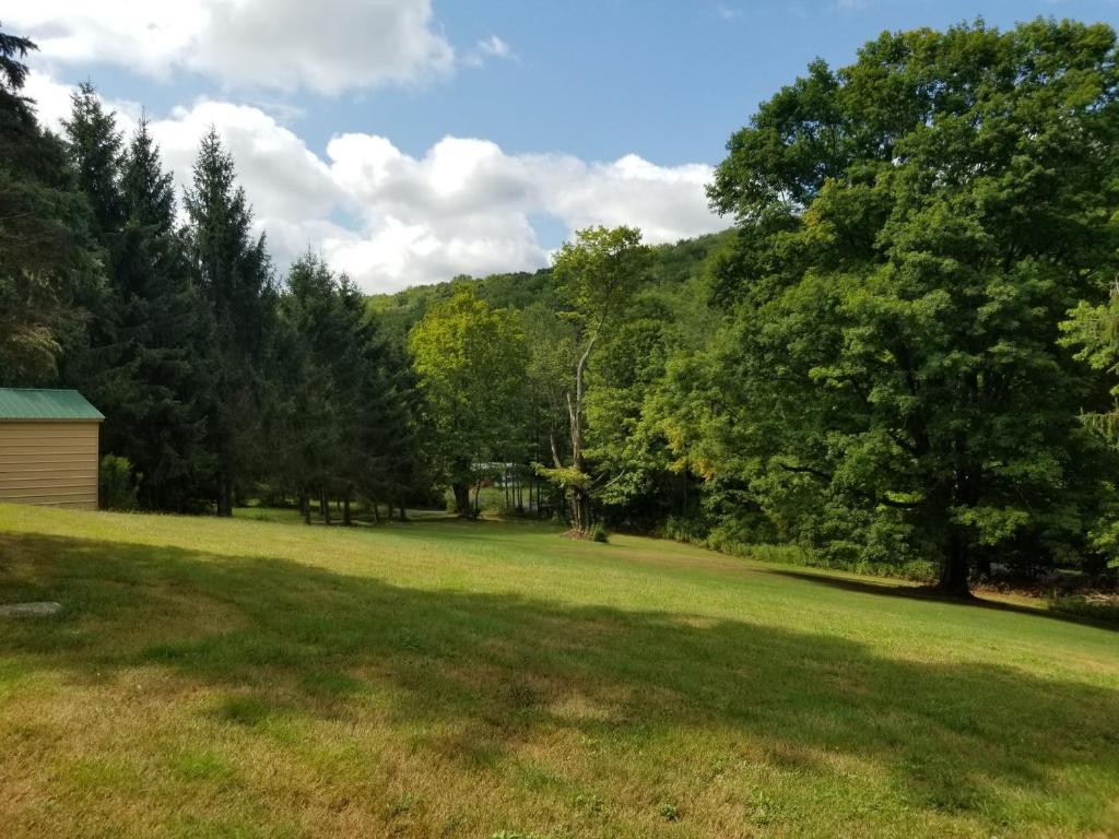 610 East Afton Road Bainbridge, NY 13733 - Photo 43 of 57