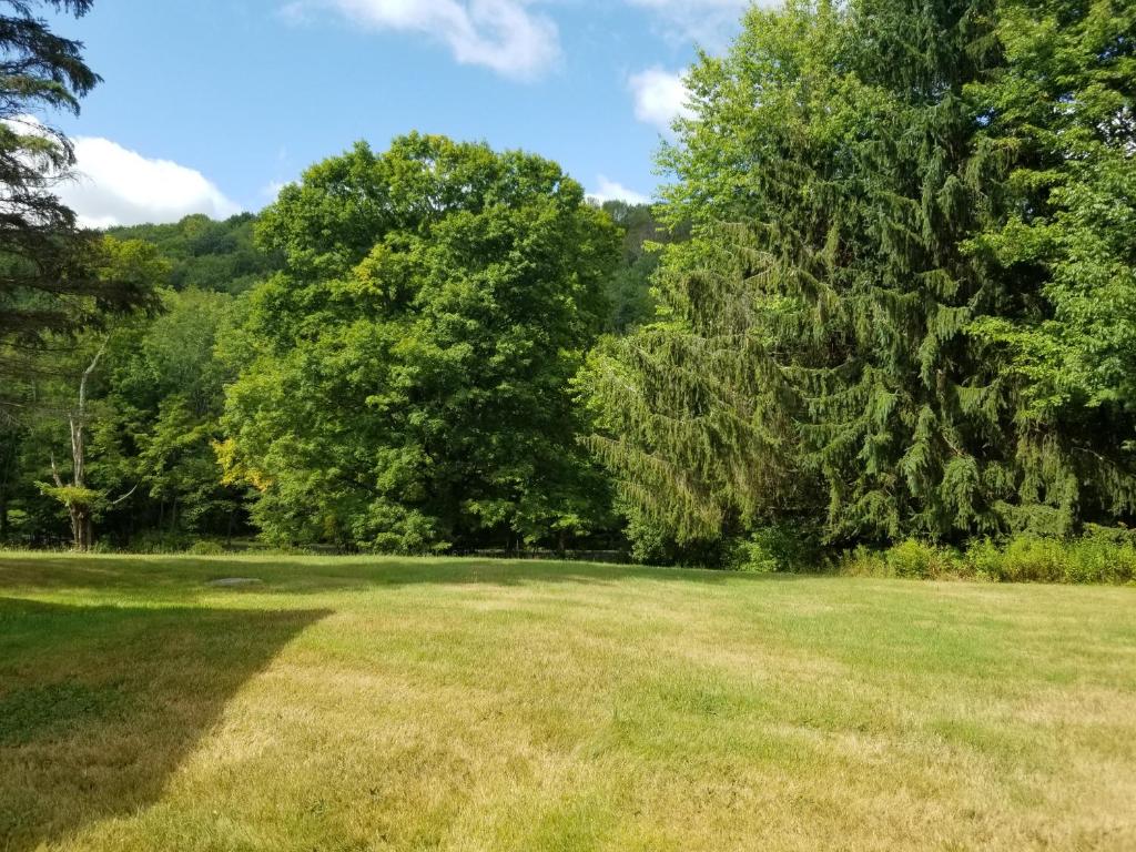 610 East Afton Road Bainbridge, NY 13733 - Photo 45 of 57