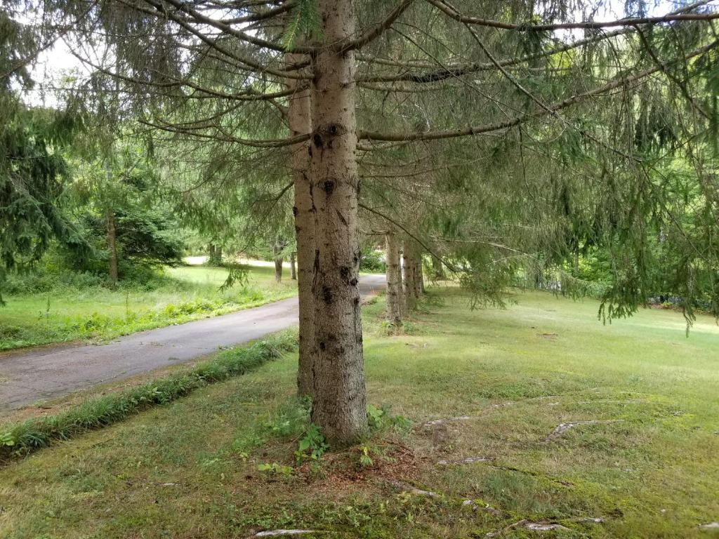 610 East Afton Road Bainbridge, NY 13733 - Photo 47 of 57