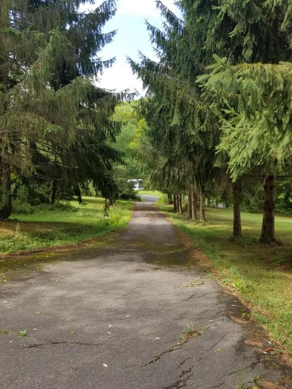 610 East Afton Road Bainbridge, NY 13733 - Photo 48 of 57