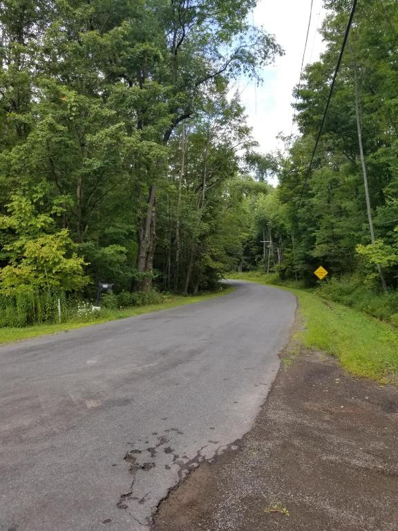 610 East Afton Road Bainbridge, NY 13733 - Photo 51 of 57