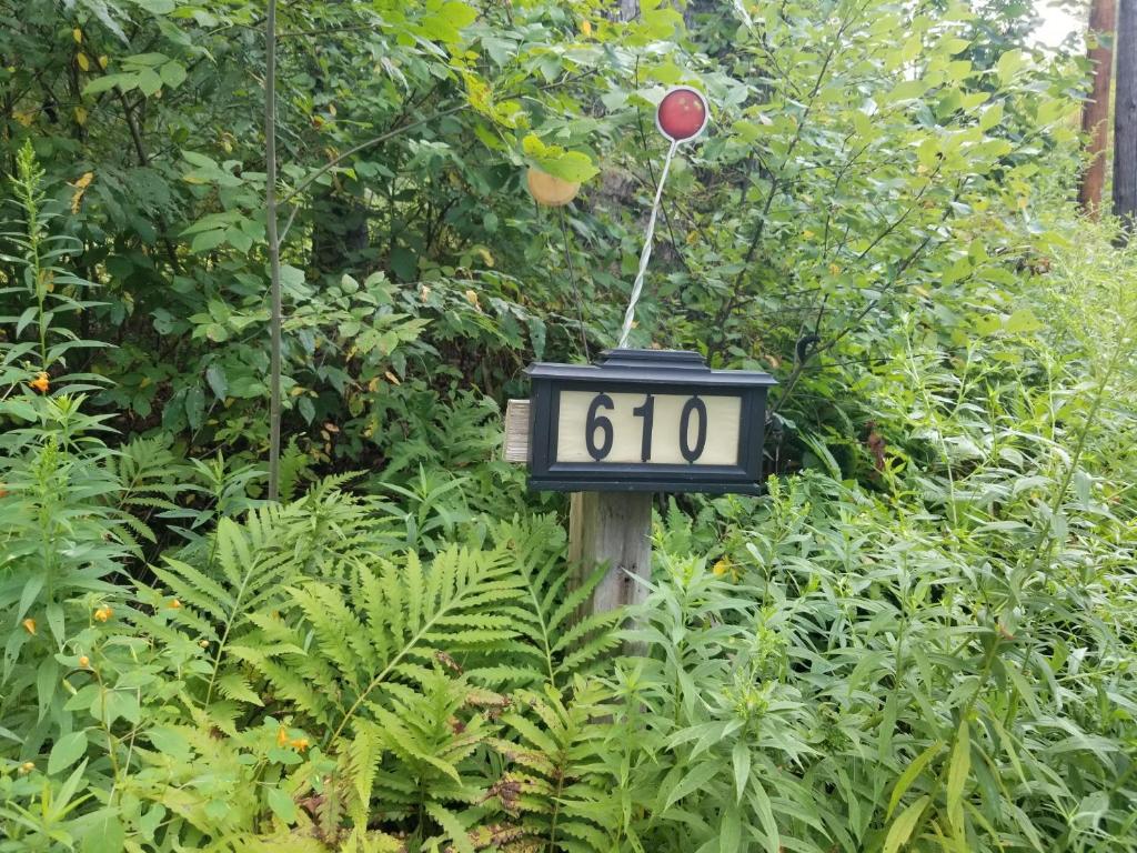 610 East Afton Road Bainbridge, NY 13733 - Photo 53 of 57