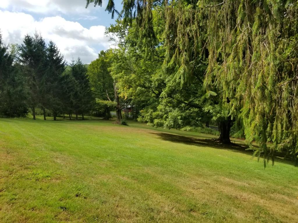 610 East Afton Road Bainbridge, NY 13733 - Photo 54 of 57