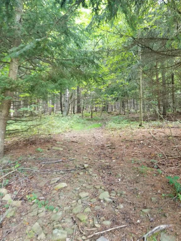 610 East Afton Road Bainbridge, NY 13733 - Photo 55 of 57