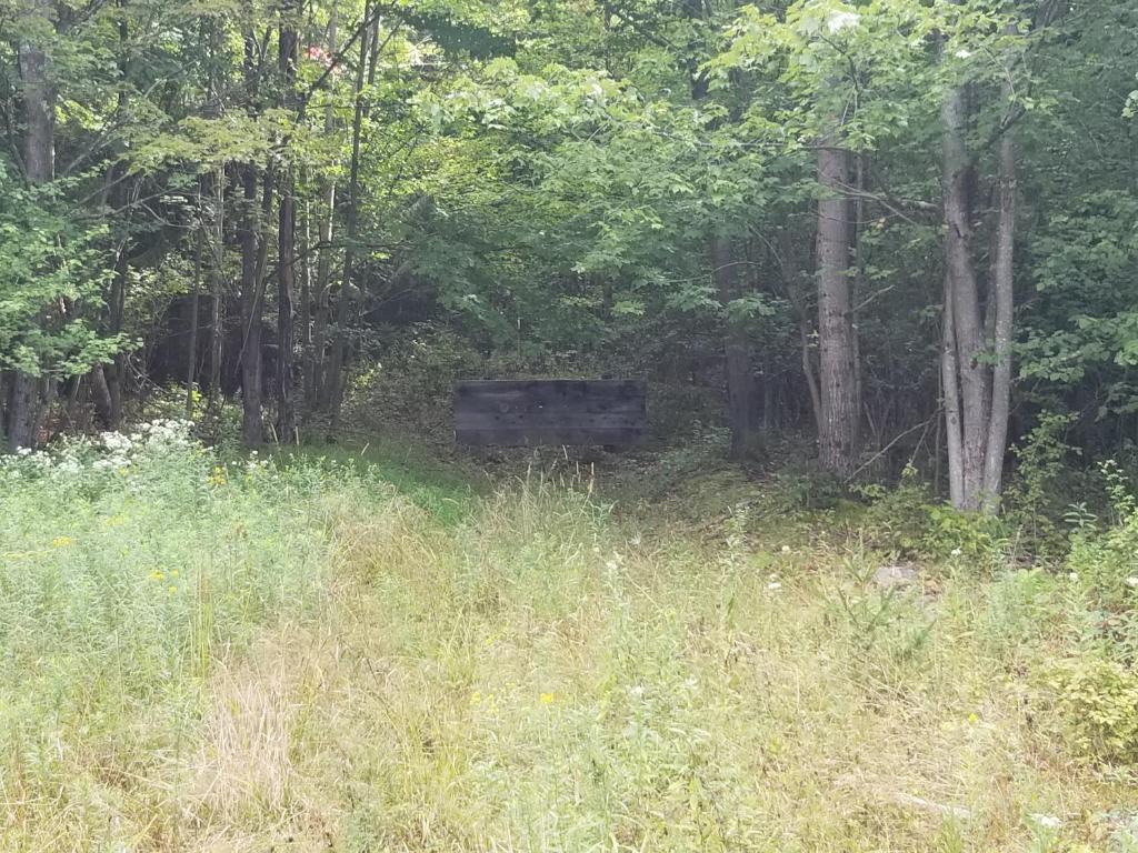 610 East Afton Road Bainbridge, NY 13733 - Photo 56 of 57