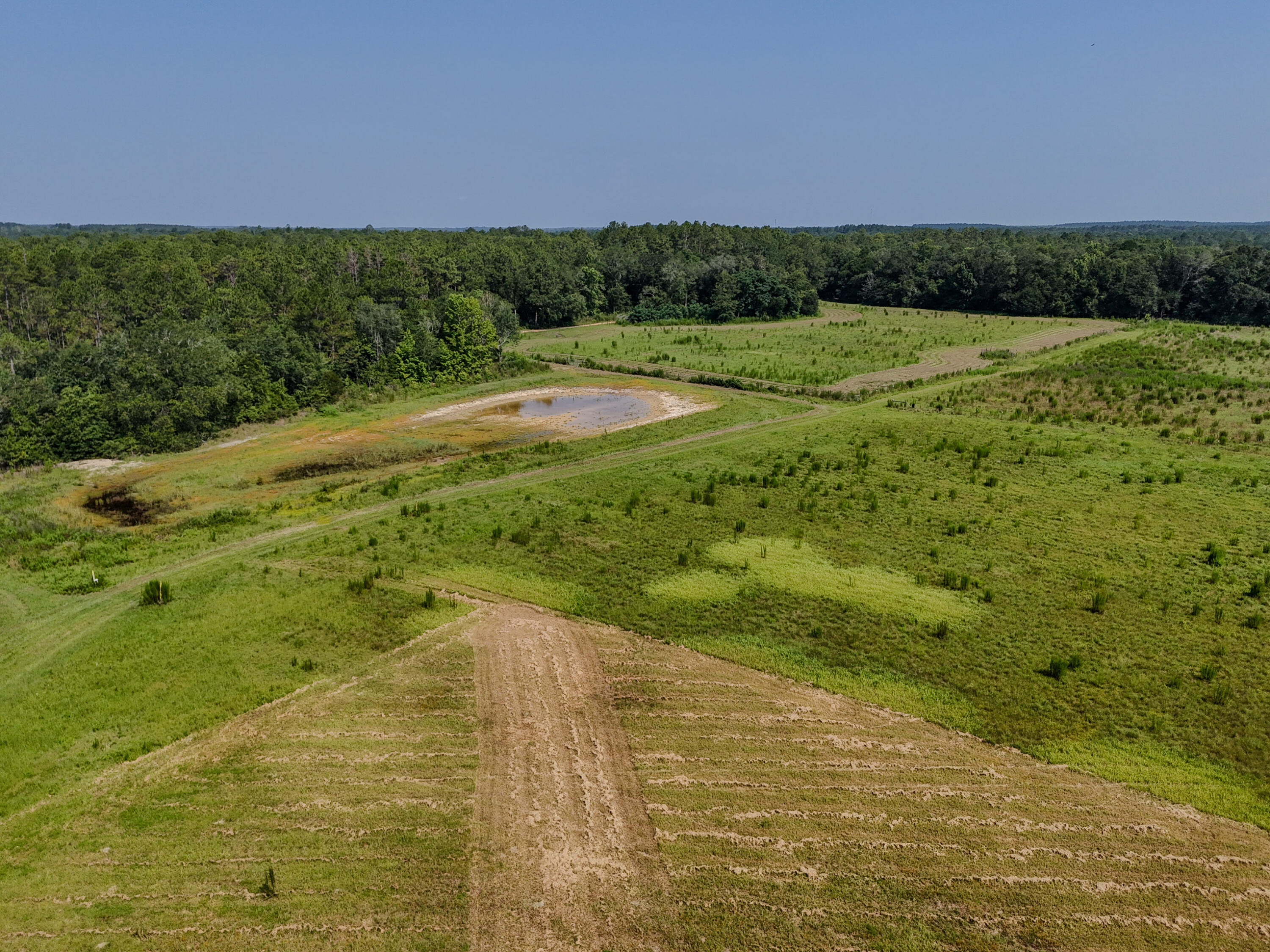 3128 County Road 10 Samson, AL 36477 - Photo 60 of 67 DJI_20260630231242_0029_D