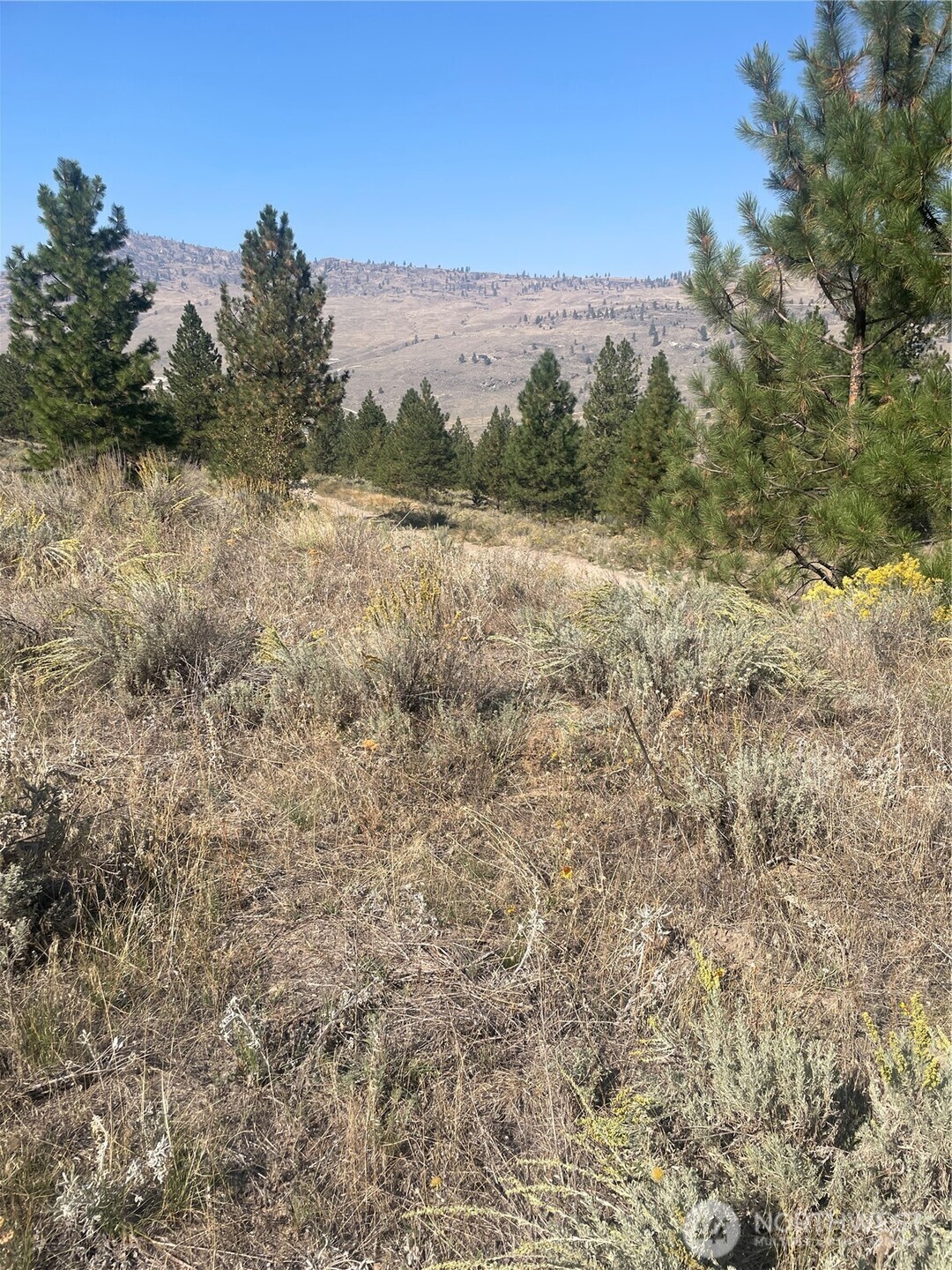 -tbd Reevas Basin Road Tonasket, WA 98855 - Photo 36 of 38