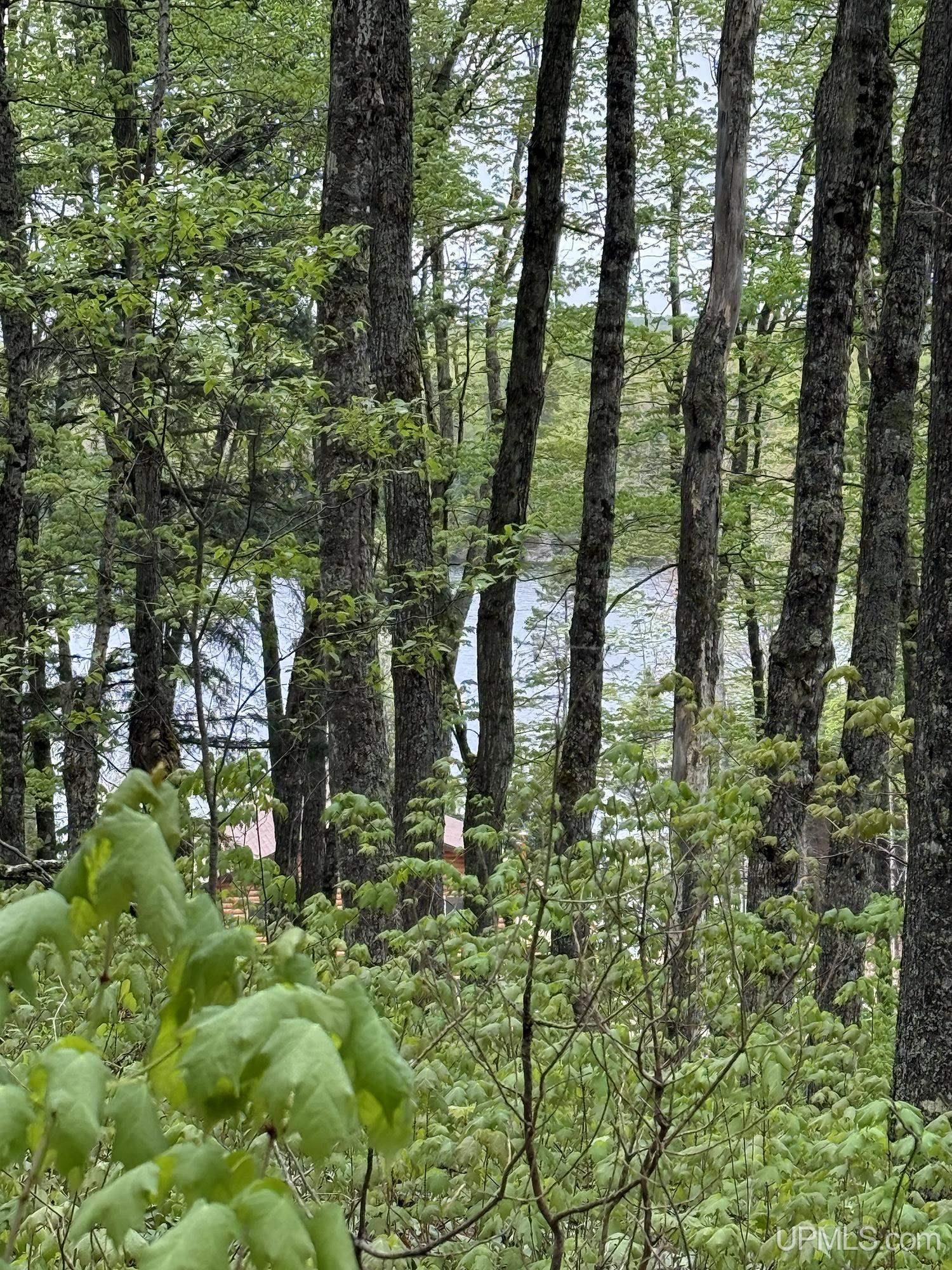 161 Porter Lake Road Crystal Falls, MI 49920 - Photo 25 of 66